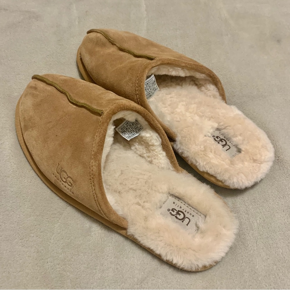 Mens ugg slippers
